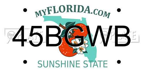 45BGWB Florida License Plate