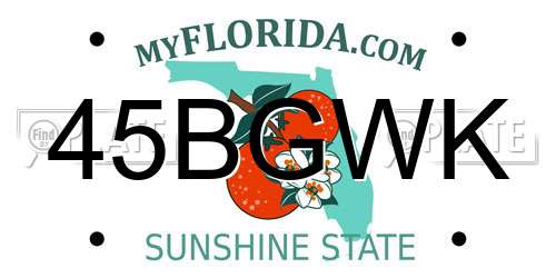 45BGWK Florida License Plate