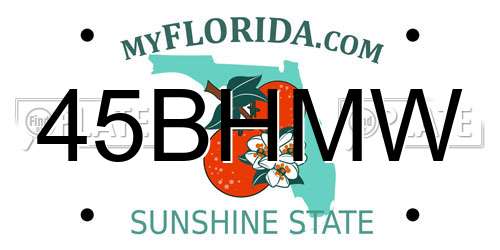 45BHMW Florida License Plate