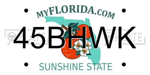 45BHWK Florida License Plate