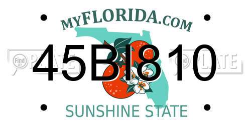 45BI810 Florida License Plate