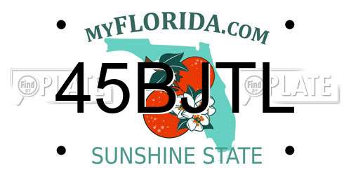 45BJTL Florida License Plate