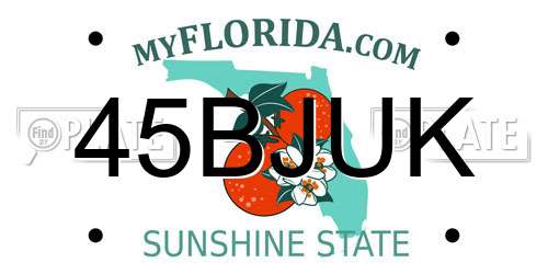 45BJUK Florida License Plate