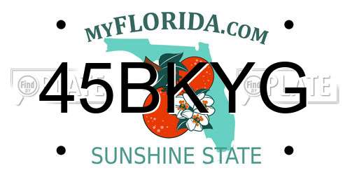 45BKYG Florida License Plate