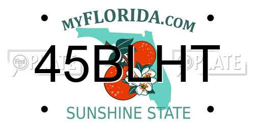 45BLHT Florida License Plate