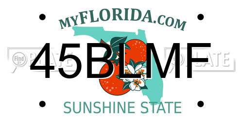45BLMF Florida License Plate