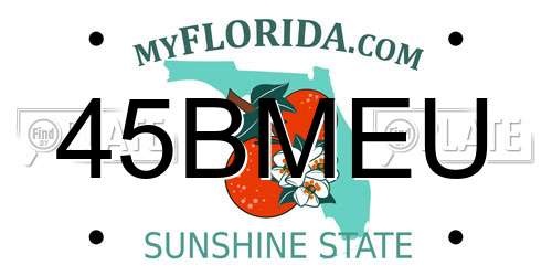 45BMEU Florida License Plate
