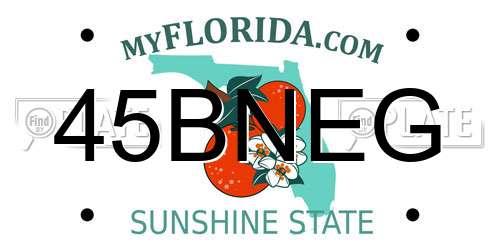 45BNEG Florida License Plate