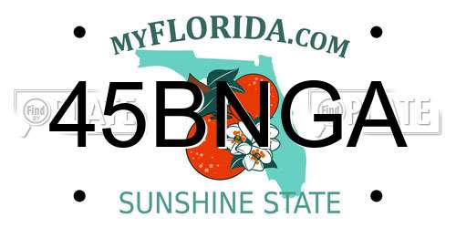 45BNGA Florida License Plate