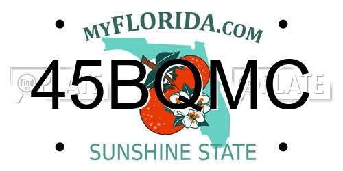 45BQMC Florida License Plate
