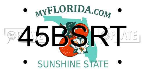 45BSRT Florida License Plate