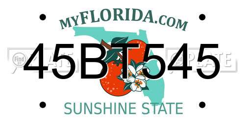 45BT545 Florida License Plate