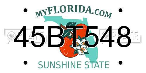 45BT548 Florida License Plate