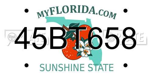 45BT658 Florida License Plate