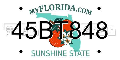 45BT848 Florida License Plate