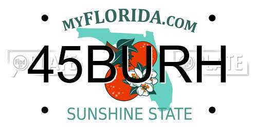 45BURH Florida License Plate