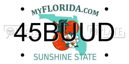 45BUUD Florida License Plate