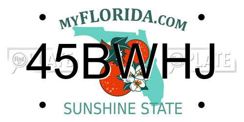 45BWHJ Florida License Plate