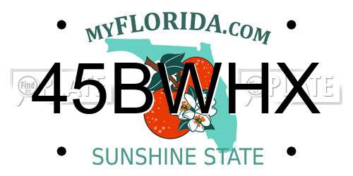 45BWHX Florida License Plate