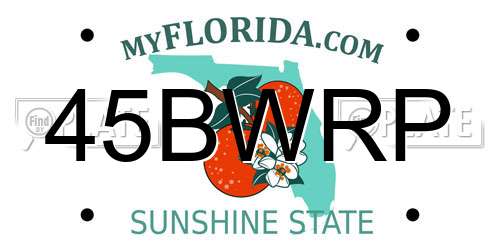 45BWRP Florida License Plate