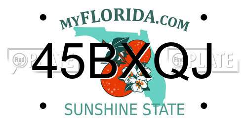 45BXQJ Florida License Plate