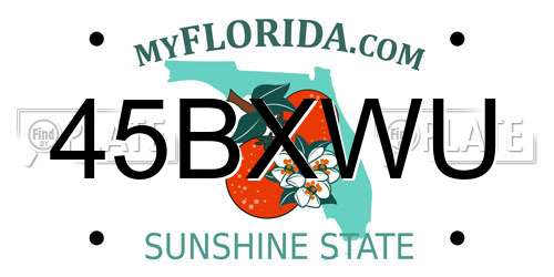 45BXWU Florida License Plate