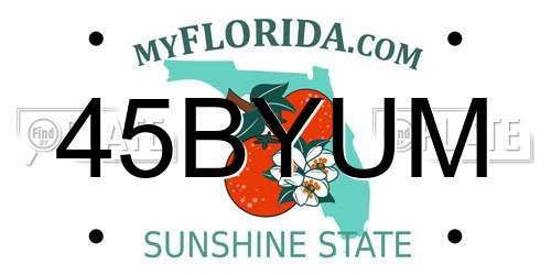 45BYUM Florida License Plate
