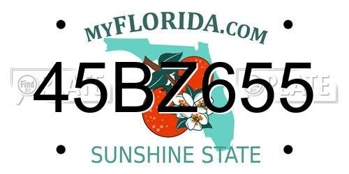 45BZ655 Florida License Plate