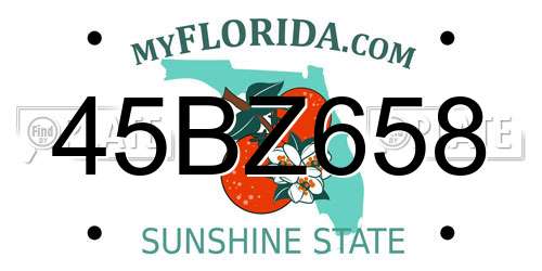 45BZ658 Florida License Plate