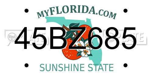45BZ685 Florida License Plate