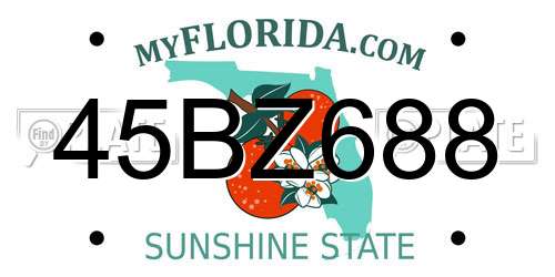 45BZ688 Florida License Plate