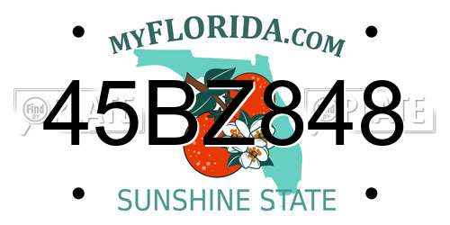 45BZ848 Florida License Plate