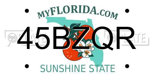 45BZQR Florida License Plate