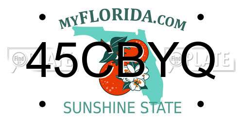 45CBYQ Florida License Plate