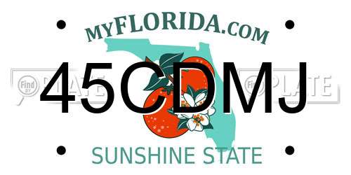 45CDMJ Florida License Plate