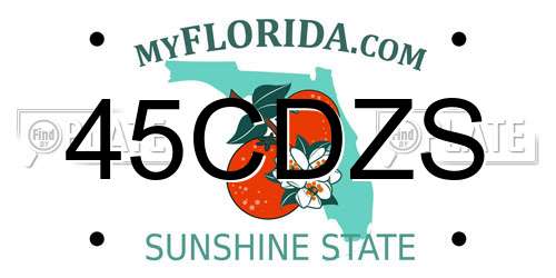 45CDZS Florida License Plate