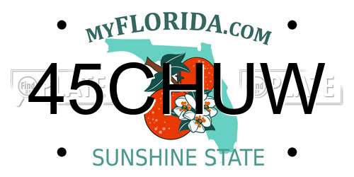 45CHUW Florida License Plate
