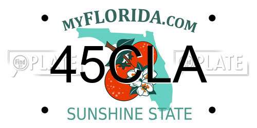 45CLA Florida License Plate