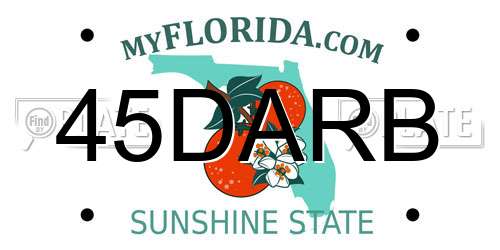 45DARB Florida License Plate