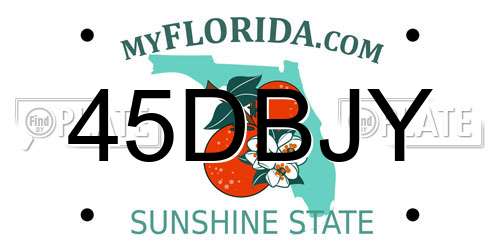 45DBJY Florida License Plate