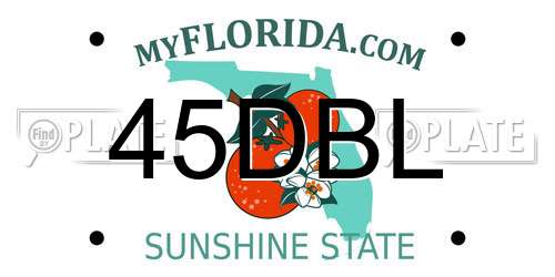 45DBL Florida License Plate