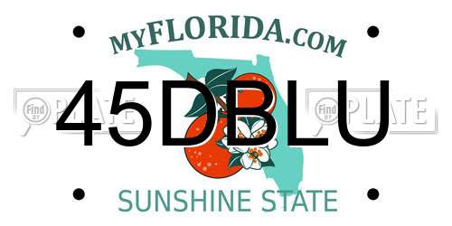 45DBLU Florida License Plate