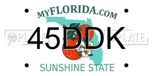 45DDK Florida License Plate