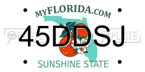 45DDSJ Florida License Plate