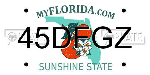 45DFGZ Florida License Plate