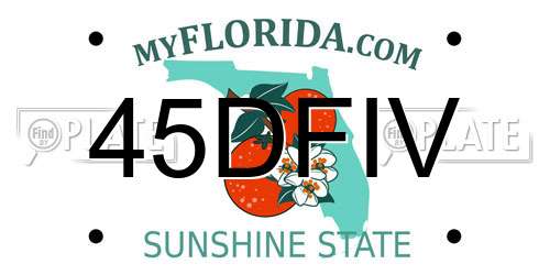 45DFIV Florida License Plate