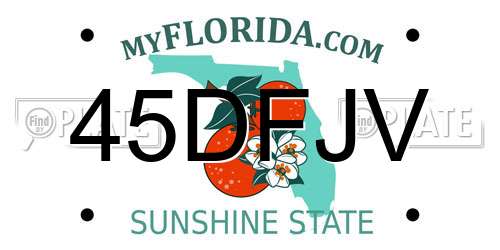 45DFJV Florida License Plate