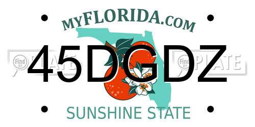 45DGDZ Florida License Plate