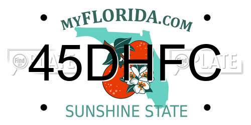 45DHFC Florida License Plate