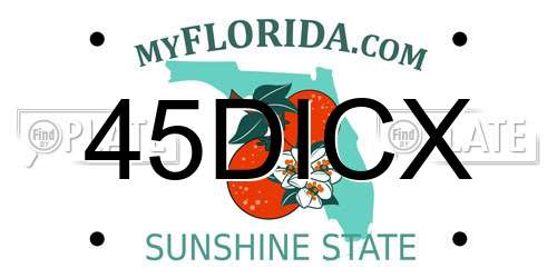 45DICX Florida License Plate